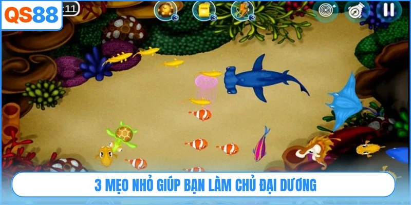 3 mẹo nhỏ giúp bạn làm chủ đại dương