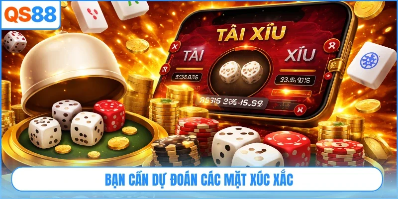 Bạn cần dự đoán các mặt xúc xắc