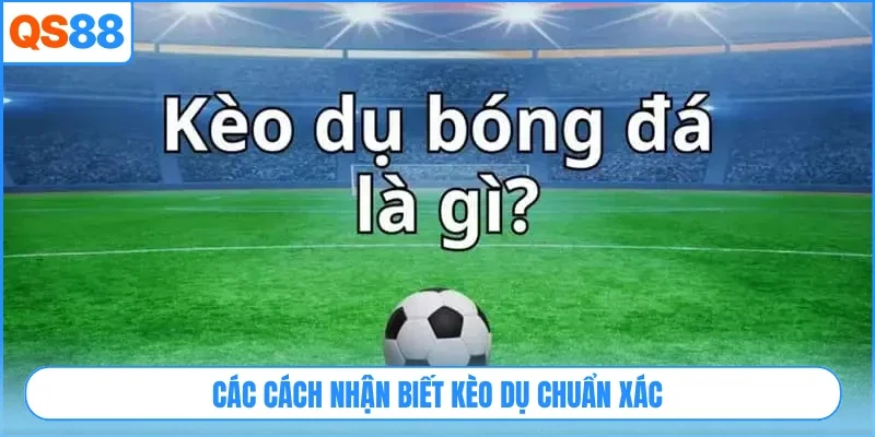Các cách nhận biết kèo dụ chuẩn xác