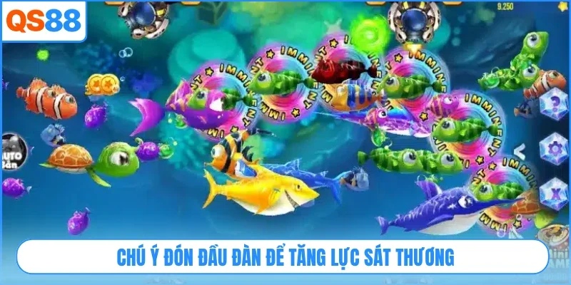 Chú ý đón đầu đàn để tăng lực sát thương