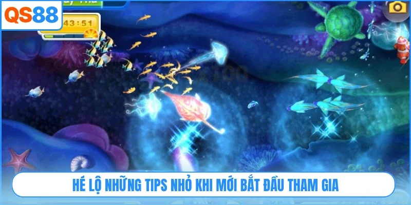 Hé lộ những tips nhỏ khi mới bắt đầu tham gia