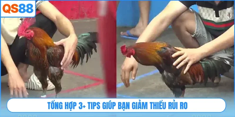 Tổng hợp 3+ tips giúp bạn giảm thiểu rủi ro